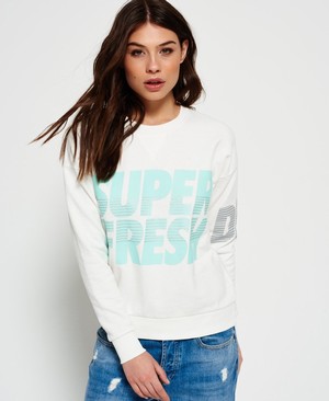 Superdry Freshness Crew Neck Női Pulóver Fehér | BYUWK1574